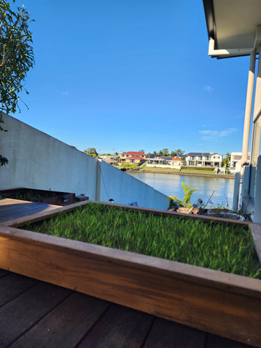 Oak, dog toilet, puppy training, real grass, natural turf, marine ply, sealed, waterproof stylish alternative to pee pads,