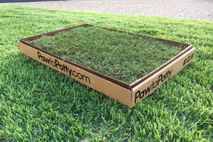 Regular trial grass patch. No subscription required. Delivered to your door, compostable wax box, grass and the planet is greener on paw ta potty's side