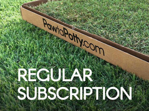 regular subscription fresh grass patch. wax box, compostable, cancel anytime, local, family business. 